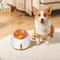 Automatic Dog Ball Launcher For Interactive Fetch Training Exercise 4