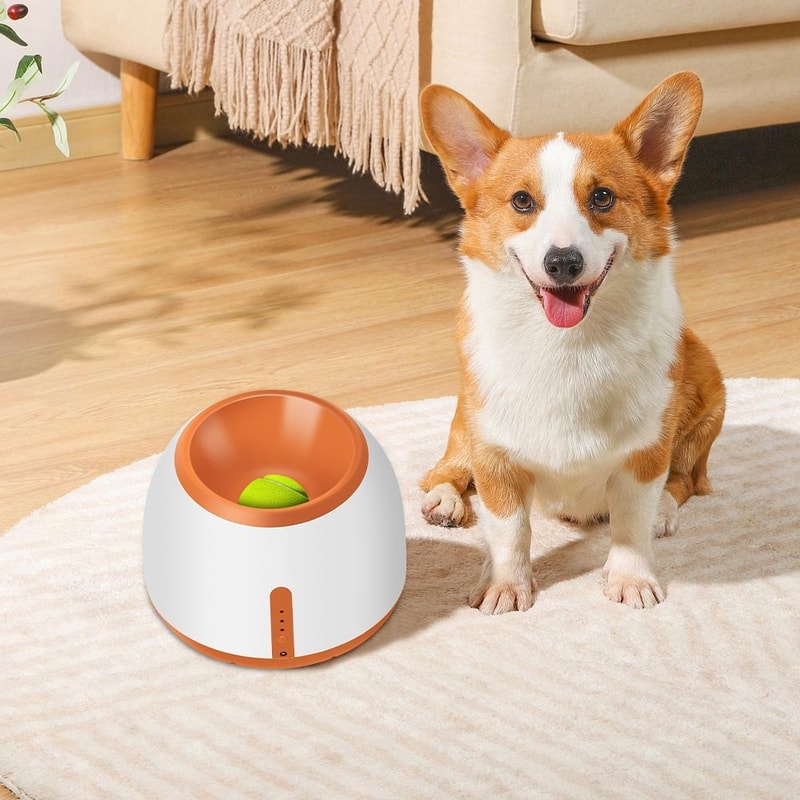 Automatic Dog Ball Launcher For Interactive Fetch Training Exercise 4
