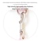 Adjustable Cat Traction Rope Backpack Harness With Snack Pouch 7