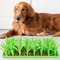 CalmPaw Slow Feeder Lick Mat for Dogs & Cats Non Slip Silicone Lick Pad for Healthy Feeding