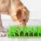 CalmPaw Slow Feeder Lick Mat for Dogs & Cats Non Slip Silicone Lick Pad for Healthy Feeding