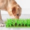 CalmPaw Slow Feeder Lick Mat for Dogs & Cats Non Slip Silicone Lick Pad for Healthy Feeding