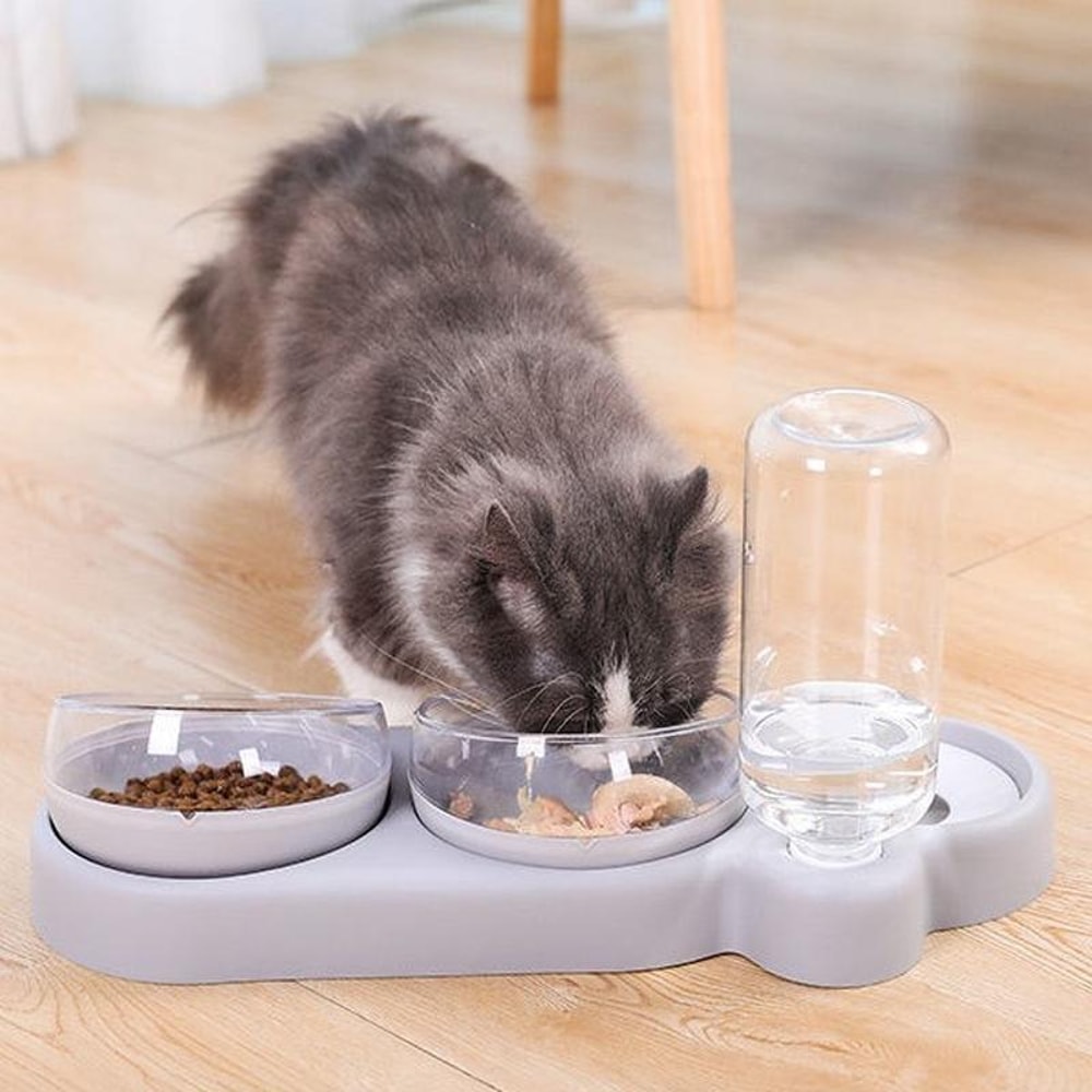 AutoPet Tilted Pet Bowl With Automatic Water Dispenser Anti Spill Design 1