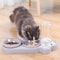 AutoPet Tilted Pet Bowl With Automatic Water Dispenser Anti Spill Design 1