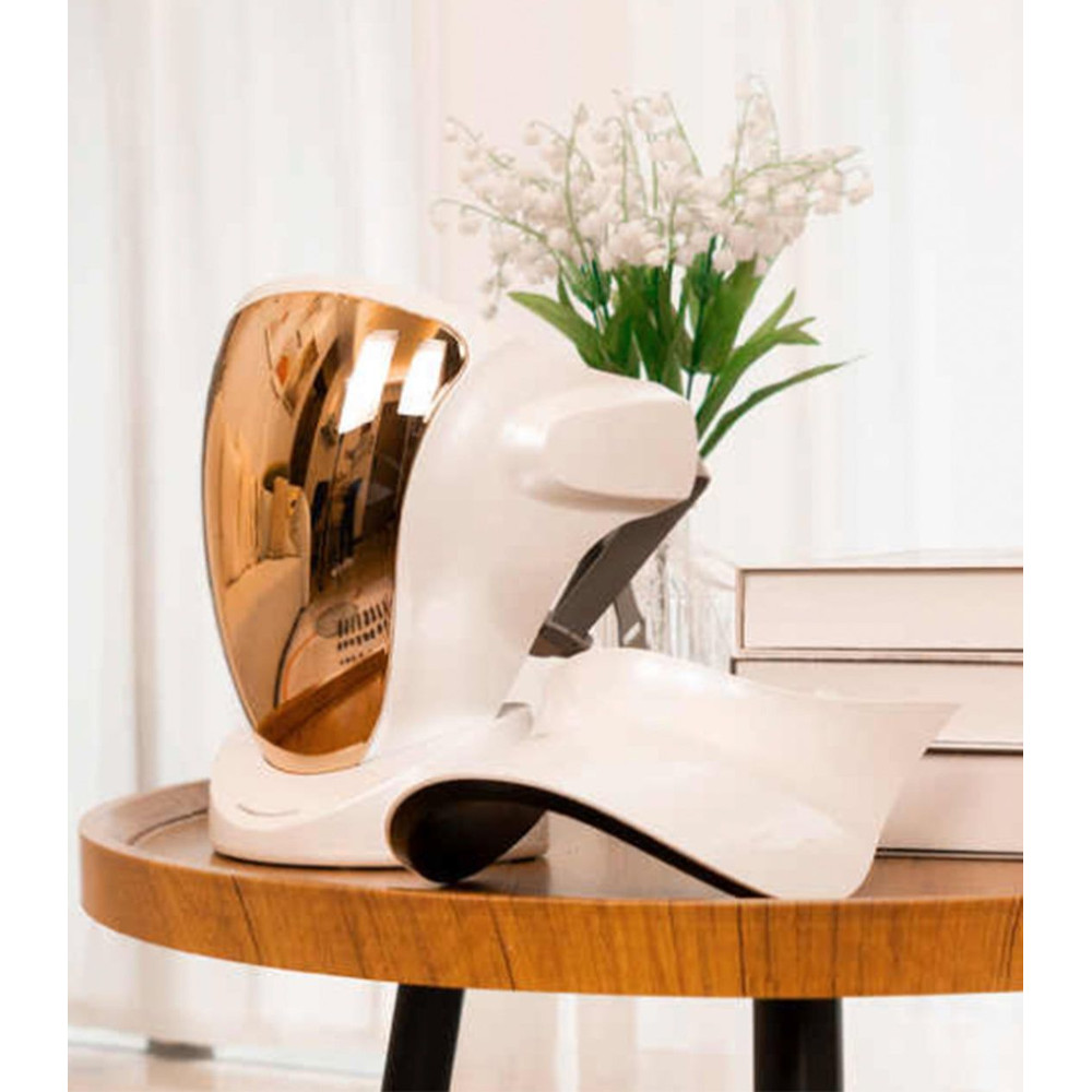 Red Blue And Infrared LEDs Target Aging And Acne Face And Neck Skincare Solution 2