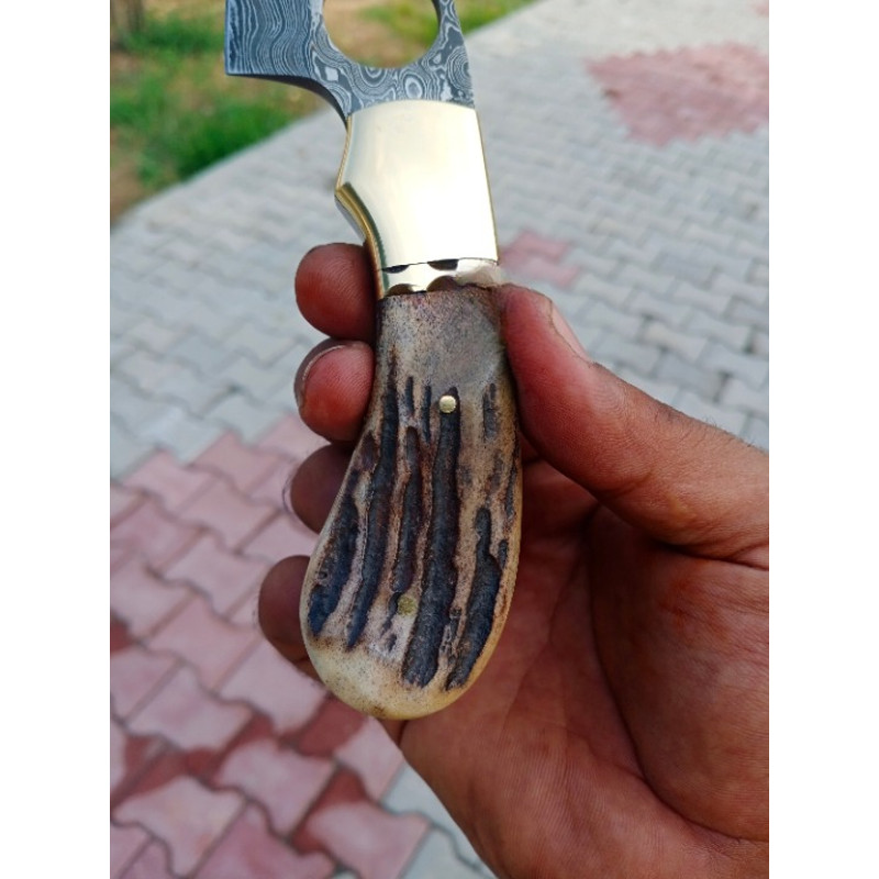 Exquisite Damascus Steel Gut Hook Knife Hand Forged With Stag Antler Handle Perfect For Gifting To Men 1
