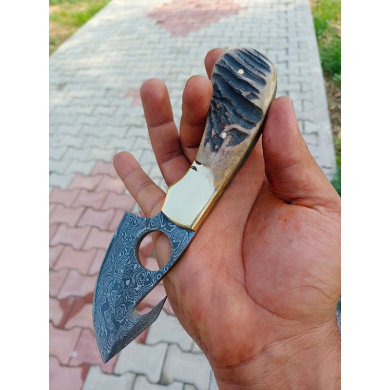 Exquisite Damascus Steel Gut Hook Knife Hand Forged With Stag Antler Handle Perfect For Gifting To Men 2