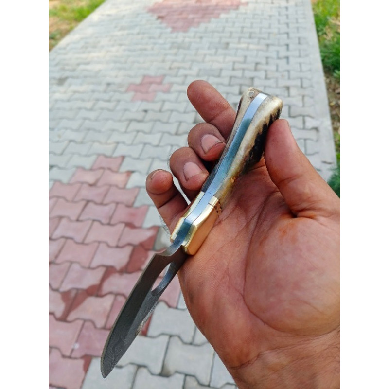 Exquisite Damascus Steel Gut Hook Knife Hand Forged With Stag Antler Handle Perfect For Gifting To Men 3