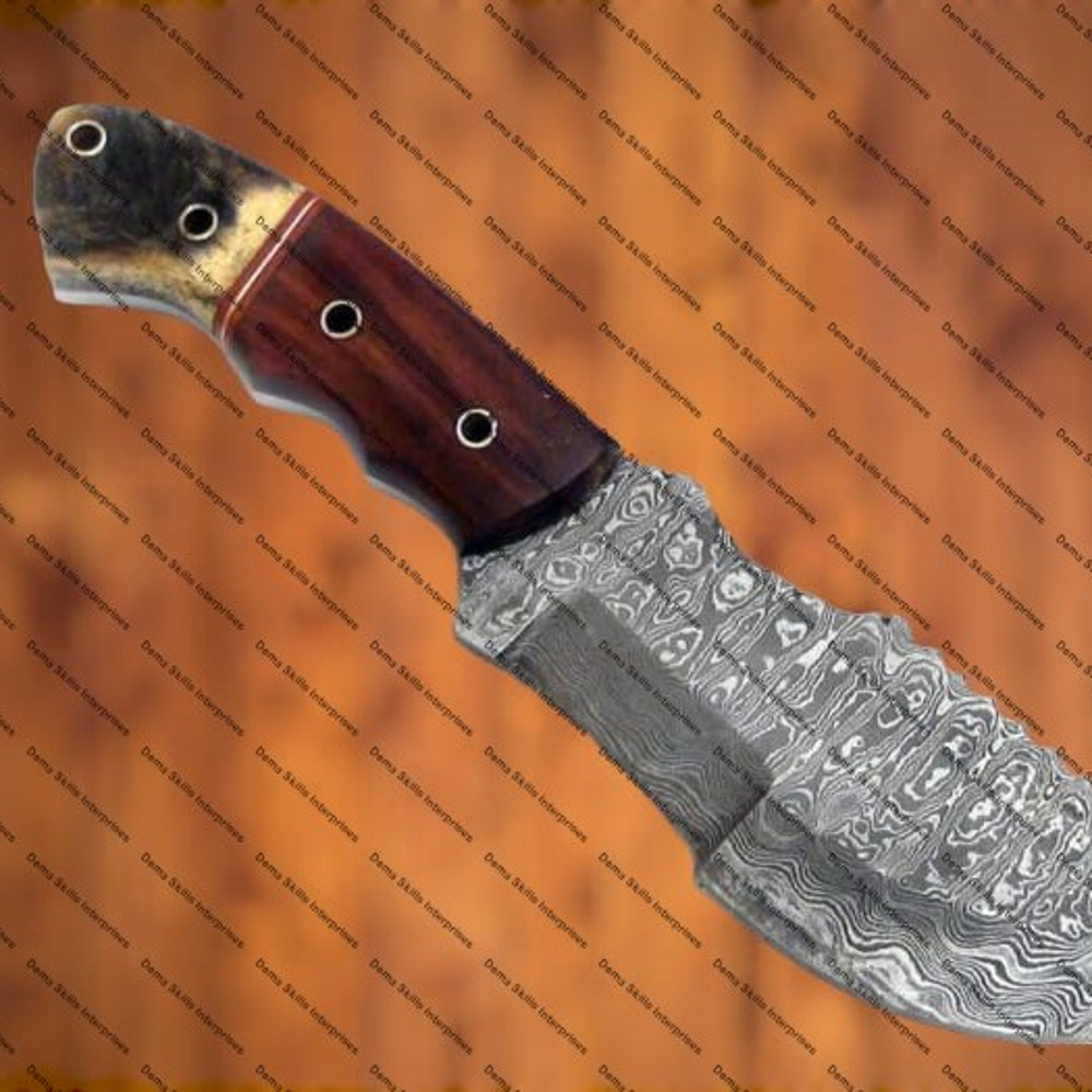 WhatsApp Image 2024-03-02 at 10.19.54 PM (1).jpeg