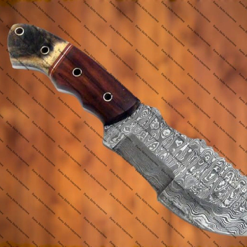 WhatsApp Image 2024-03-02 at 10.19.54 PM (1).jpeg