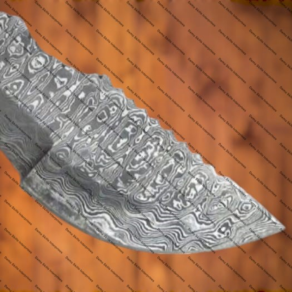 WhatsApp Image 2024-03-02 at 10.19.54 PM.jpeg