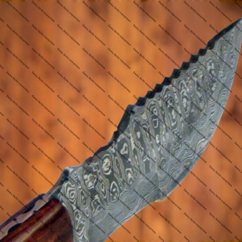 WhatsApp Image 2024-03-02 at 10.19.55 PM (1).jpeg