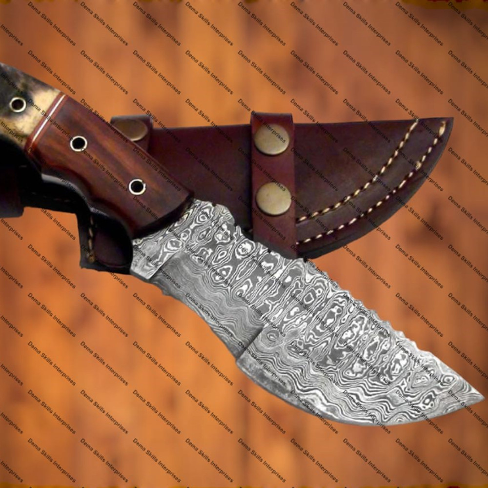 WhatsApp Image 2024-03-02 at 10.19.55 PM (2).jpeg