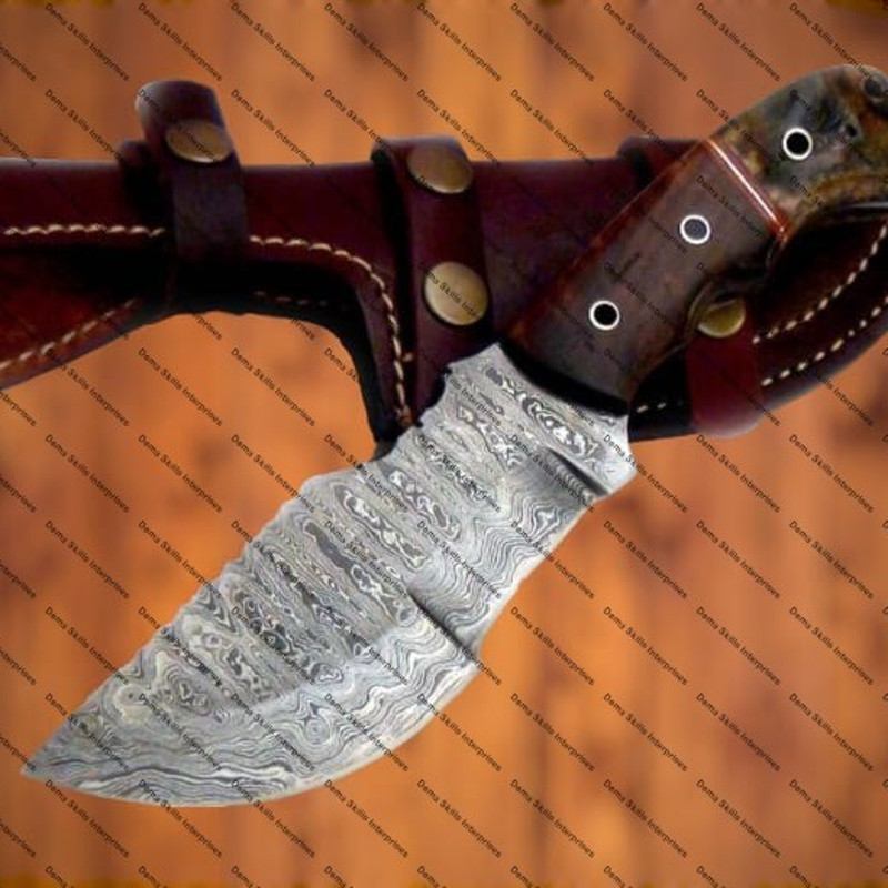 WhatsApp Image 2024-03-02 at 10.19.55 PM.jpeg