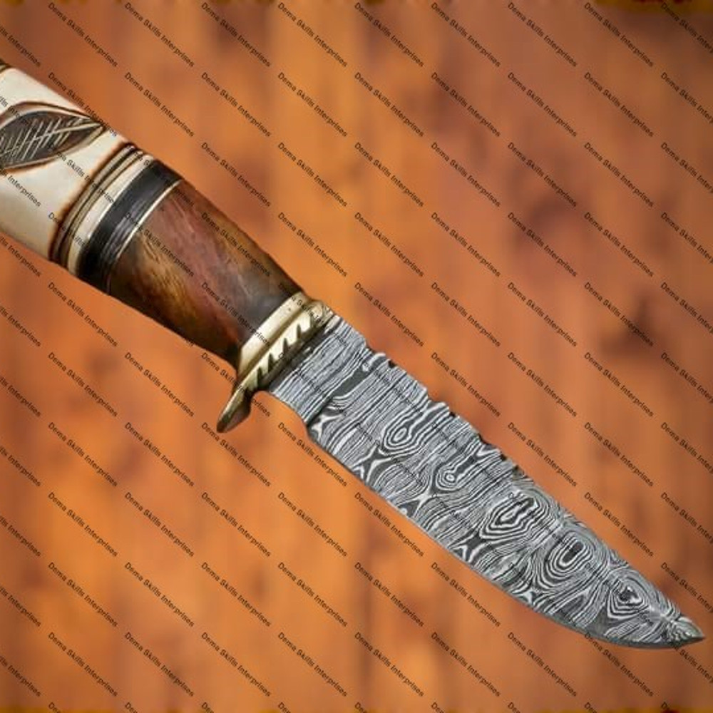 WhatsApp Image 2024-02-25 at 11.36.00 PM.jpeg