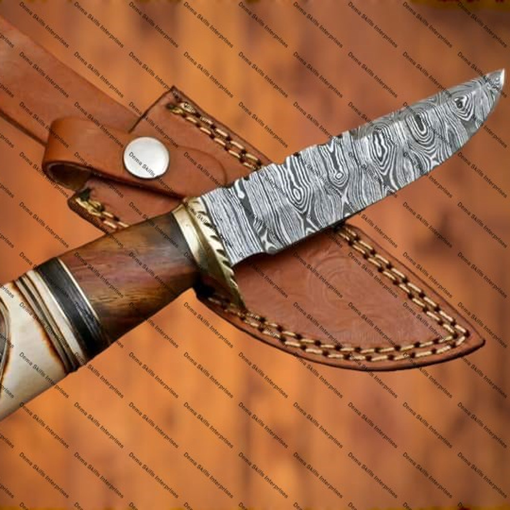 WhatsApp Image 2024-02-25 at 11.36.01 PM.jpeg