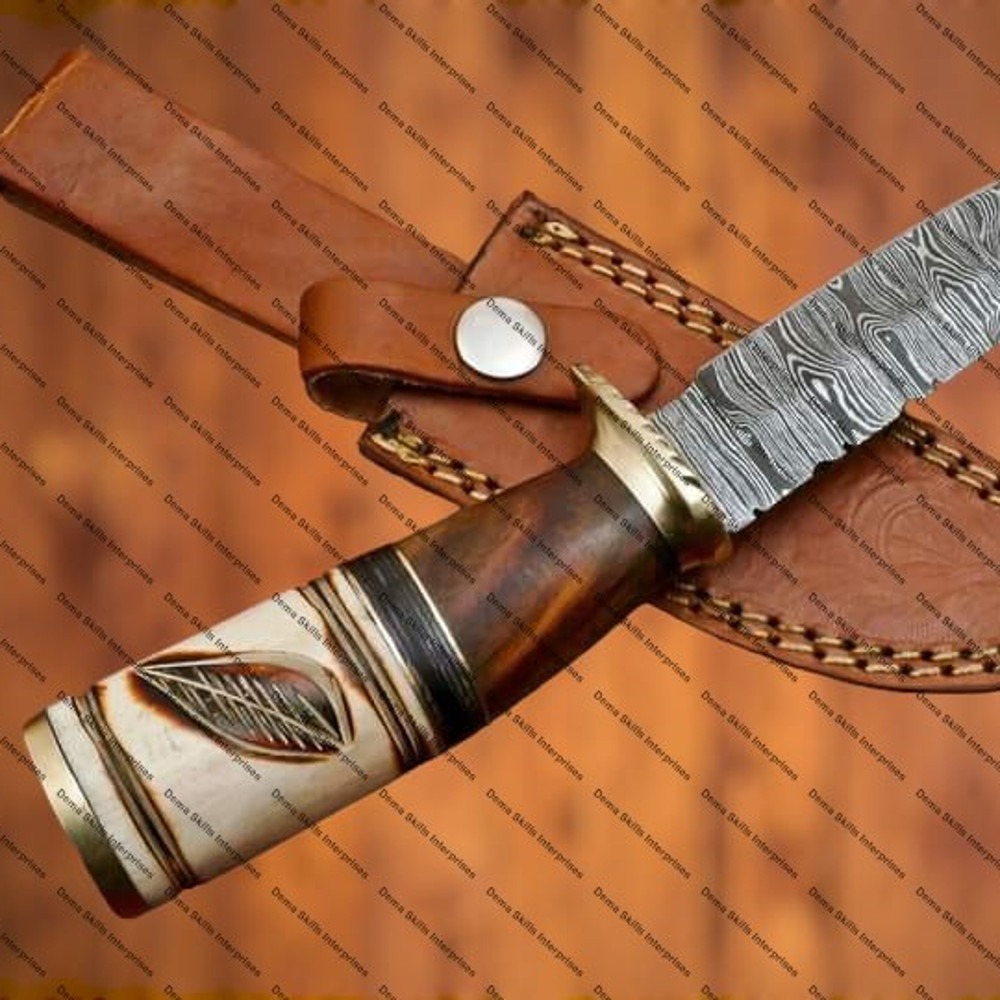 WhatsApp Image 2024-02-25 at 11.36.03 PM.jpeg