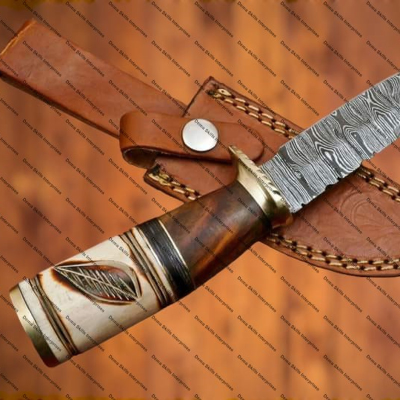 WhatsApp Image 2024-02-25 at 11.36.03 PM.jpeg