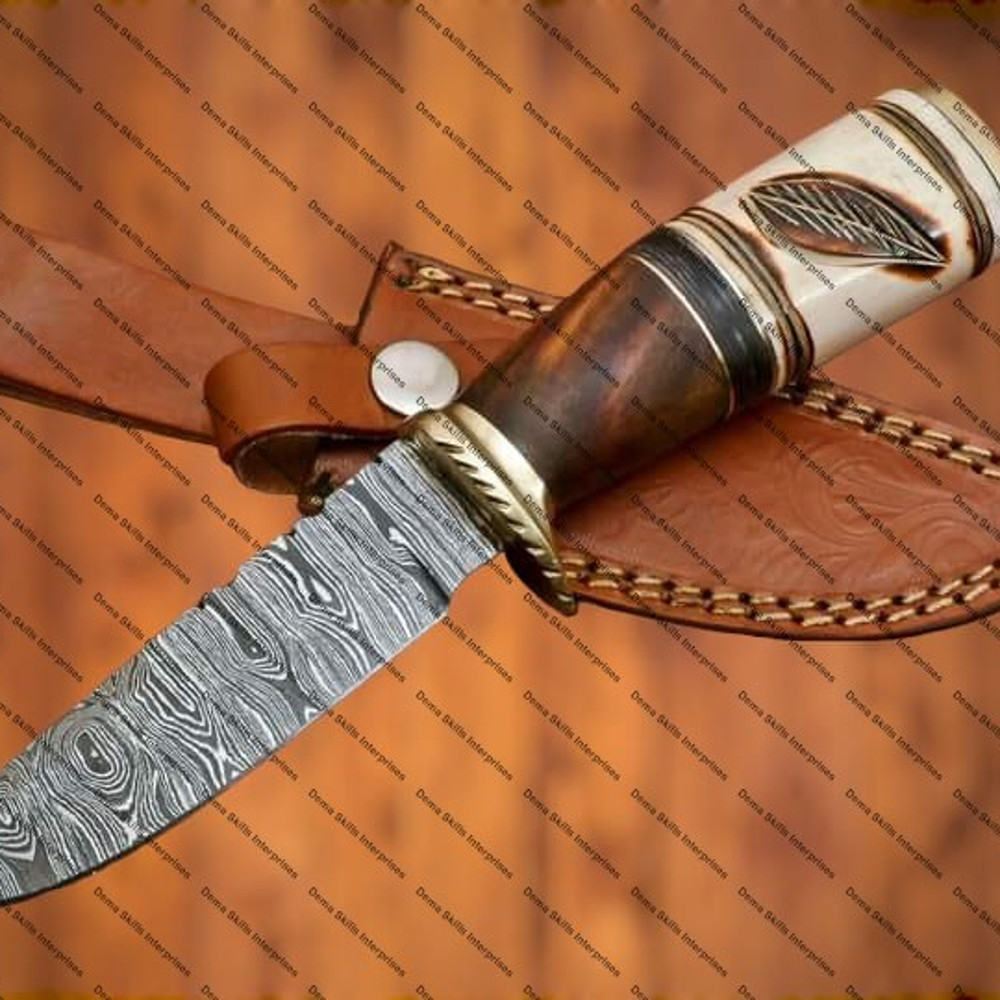 WhatsApp Image 2024-02-25 at 11.36.07 PM.jpeg