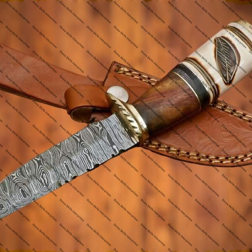 WhatsApp Image 2024-02-25 at 11.36.13 PM.jpeg