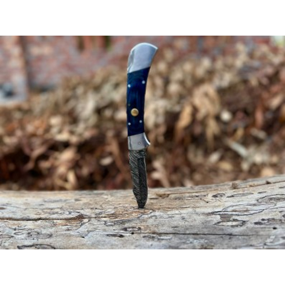 Handmade Damascus Steel Pocket Knife Dollar Sheathe  Back Luck Handle With Leather Sheathe Gift For USA Fathers Day 6