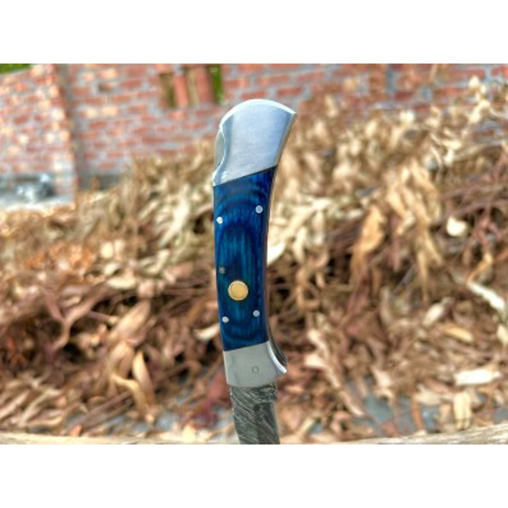 Handmade Damascus Steel Pocket Knife Dollar Sheathe  Back Luck Handle With Leather Sheathe Gift For USA Fathers Day 5