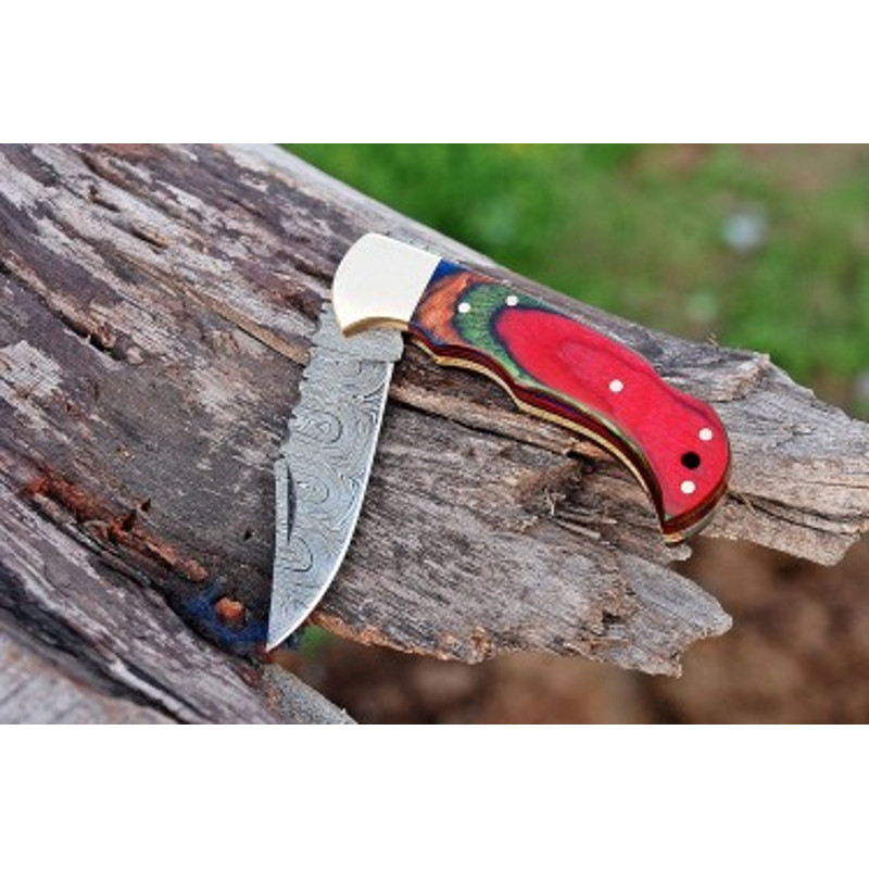 Handmade Damascus Steel Pocket Knife Dollar Sheathe Brass Handle With Leather Sheathe Gift For USA Fathers Day Gift 2