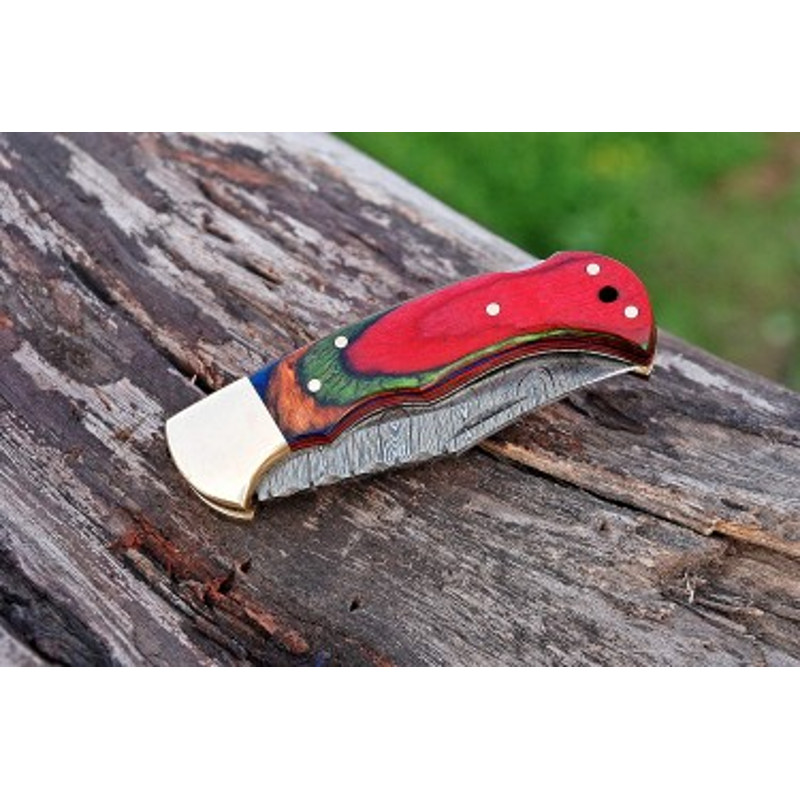 Handmade Damascus Steel Pocket Knife Dollar Sheathe Brass Handle With Leather Sheathe Gift For USA Fathers Day Gift 4