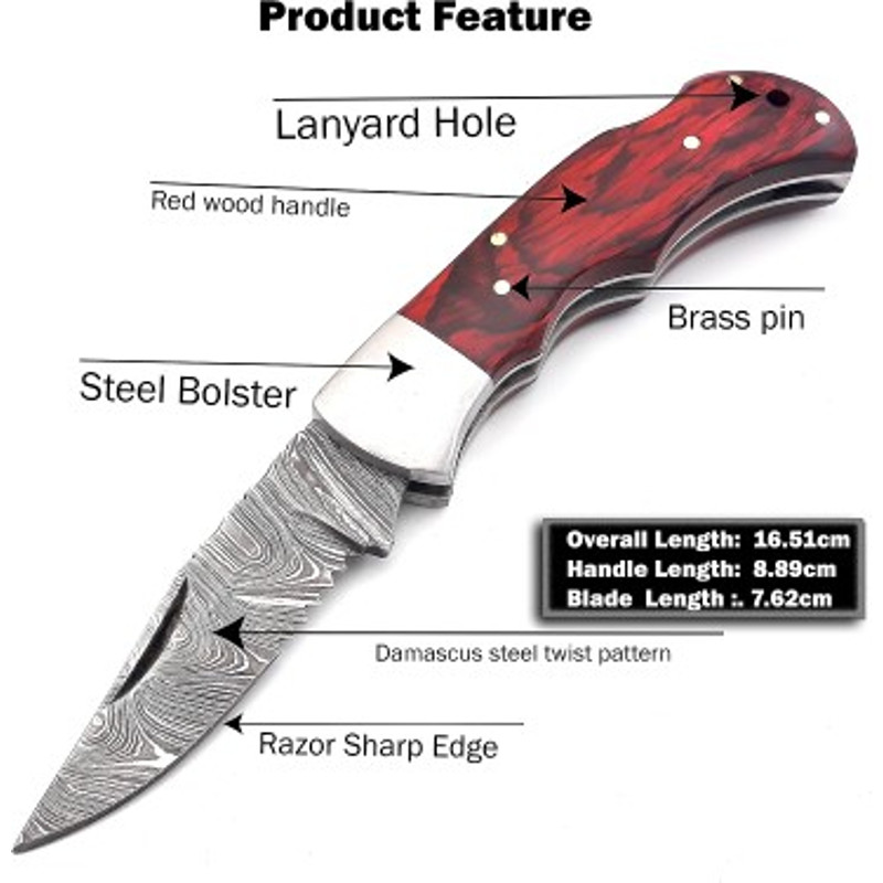 Handmade Damascus Steel Pocket Knife Dollar Sheathe Brass Handle With Leather Sheathe Gift For USA Fathers Day Gift 5