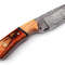 Handmade Damascus Steel Skinner Knife Olive Wood Handle With Leather Sheathe Gift For USA Fathers Day Gift For Men 3