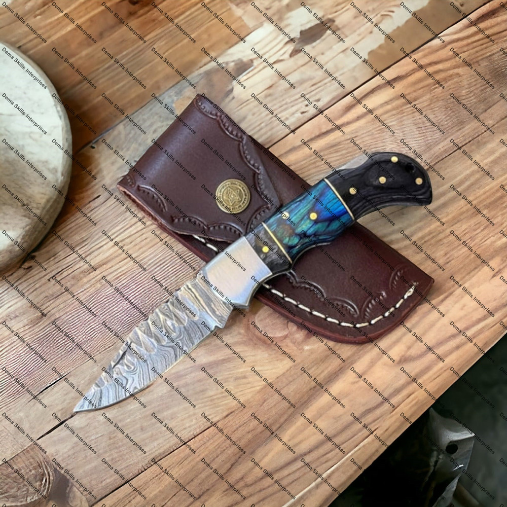 WhatsApp Image 2024-01-08 at 11.41.38 AM (1).jpeg