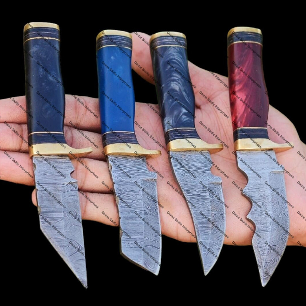 WhatsApp Image 2024-01-08 at 11.36.30 AM (1).jpeg