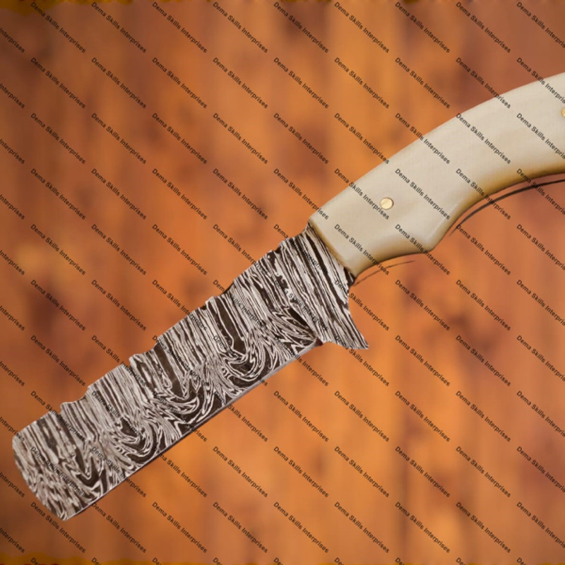 WhatsApp Image 2024-03-04 at 8.03.19 AM.jpeg