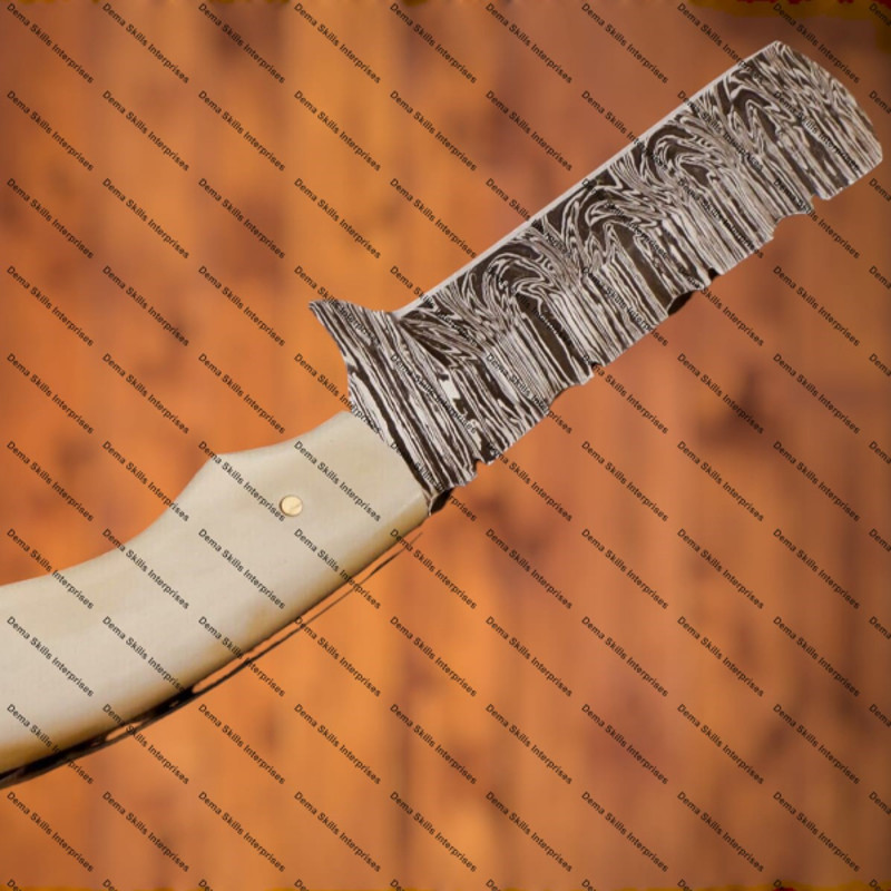 WhatsApp Image 2024-03-04 at 8.03.20 AM.jpeg