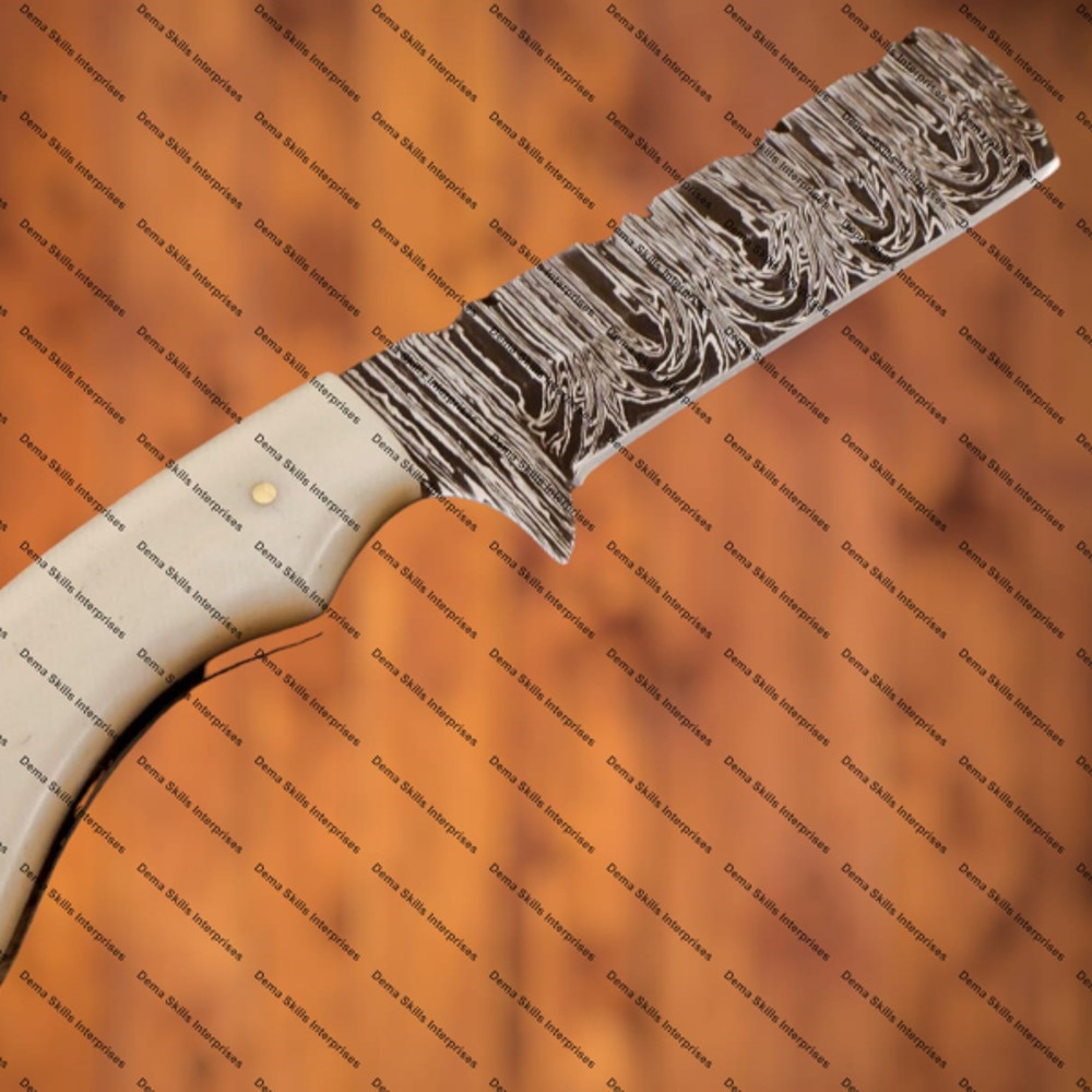 WhatsApp Image 2024-03-04 at 8.03.24 AM (1).jpeg