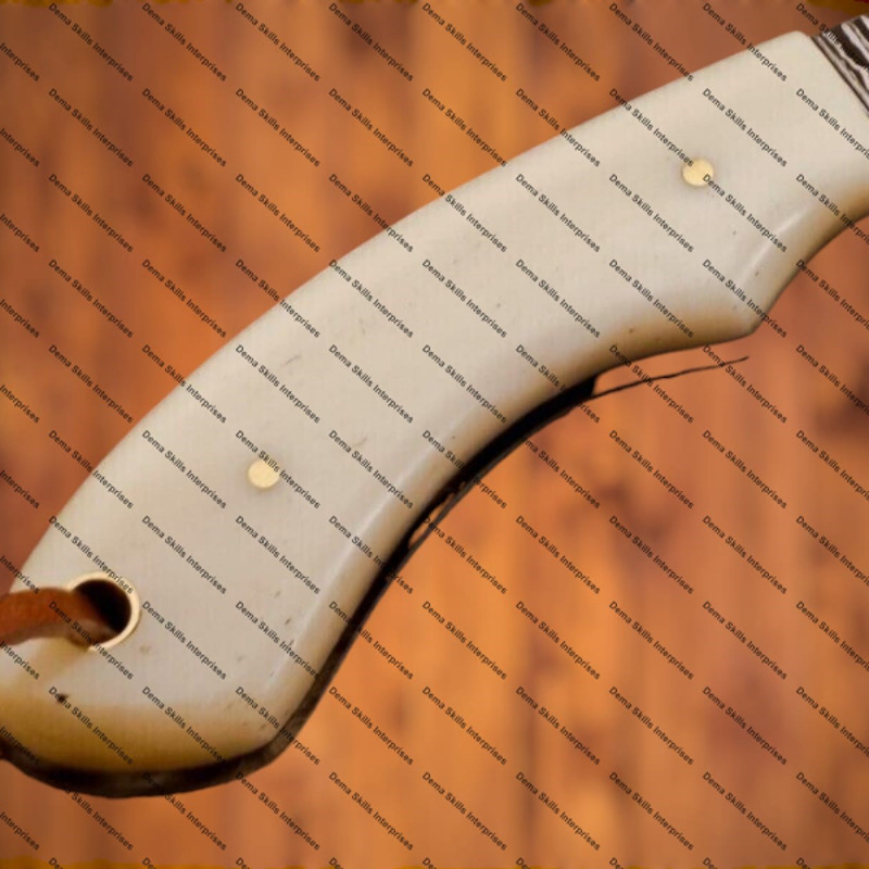 WhatsApp Image 2024-03-04 at 8.03.24 AM.jpeg