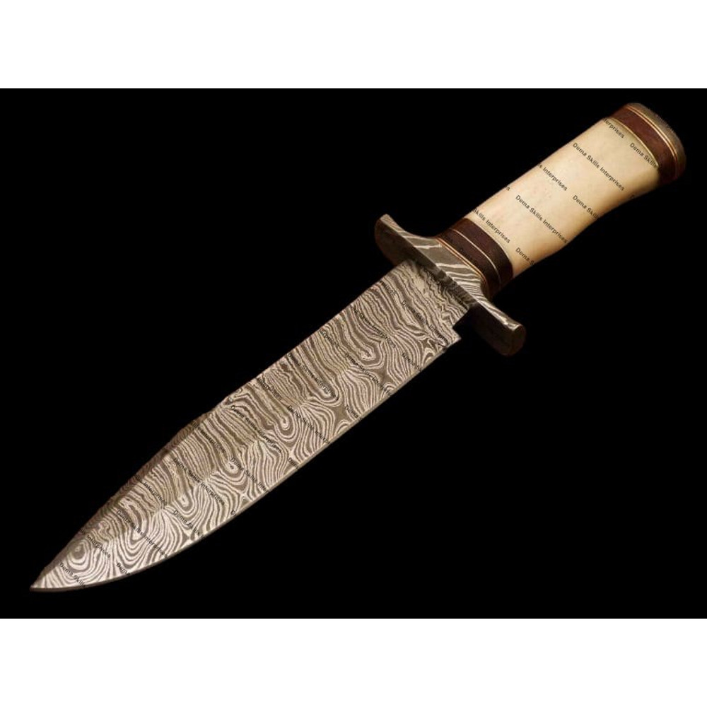 WhatsApp Image 2024-01-30 at 7.34.42 AM (2).jpeg