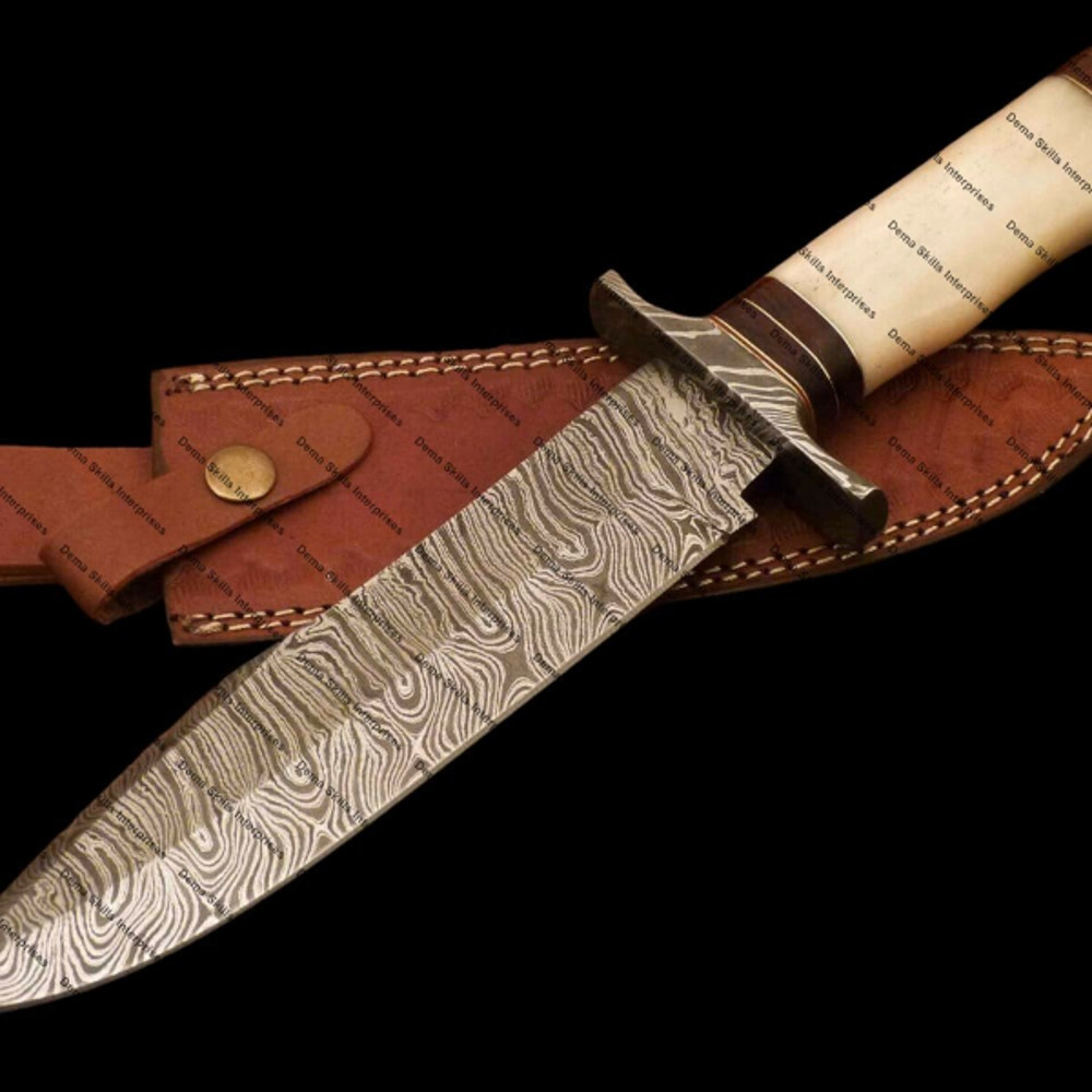 WhatsApp Image 2024-01-30 at 7.34.42 AM (1).jpeg