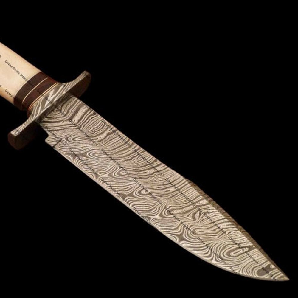 WhatsApp Image 2024-01-30 at 7.34.43 AM.jpeg