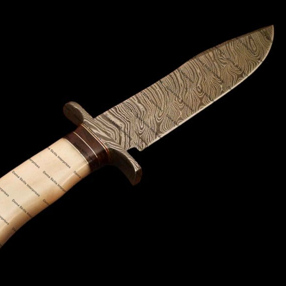 WhatsApp Image 2024-01-30 at 7.34.43 AM (1).jpeg