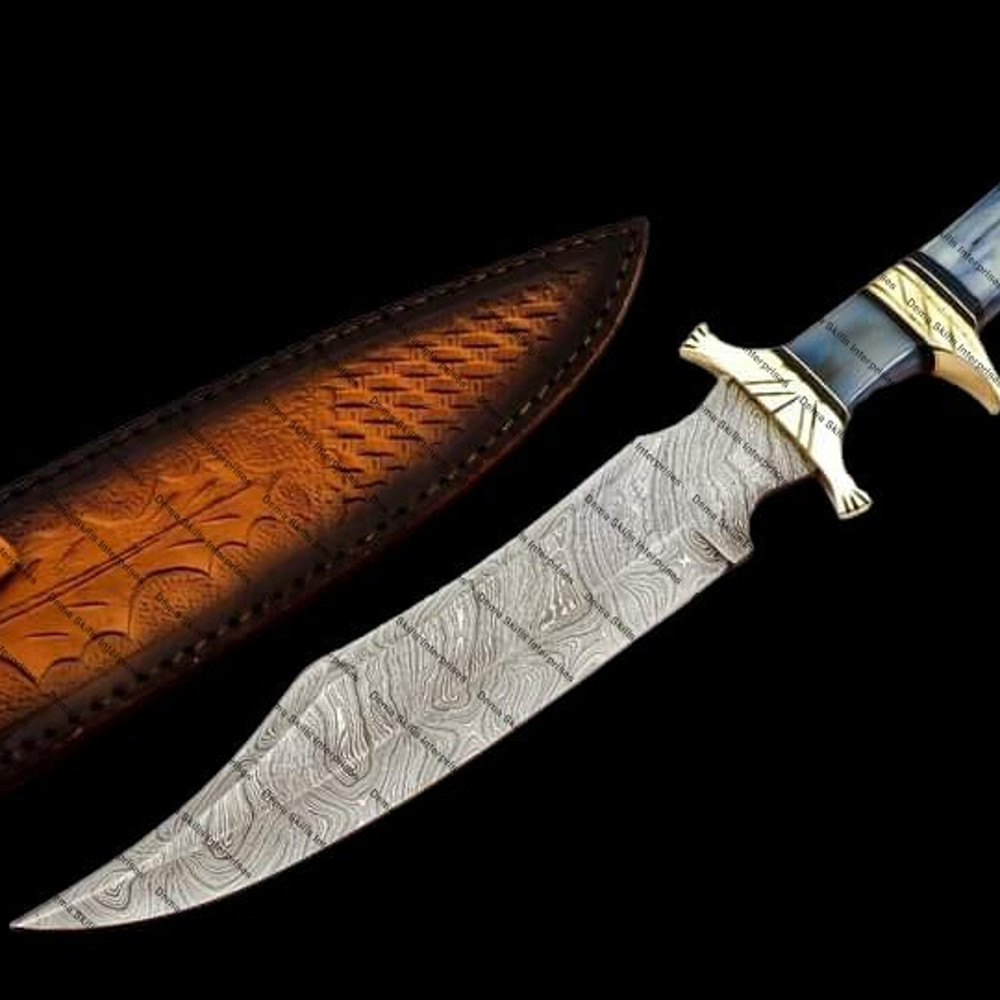 WhatsApp Image 2024-01-17 at 8.20.46 PM.jpeg