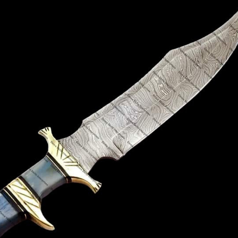 WhatsApp Image 2024-01-17 at 8.20.47 PM (1).jpeg