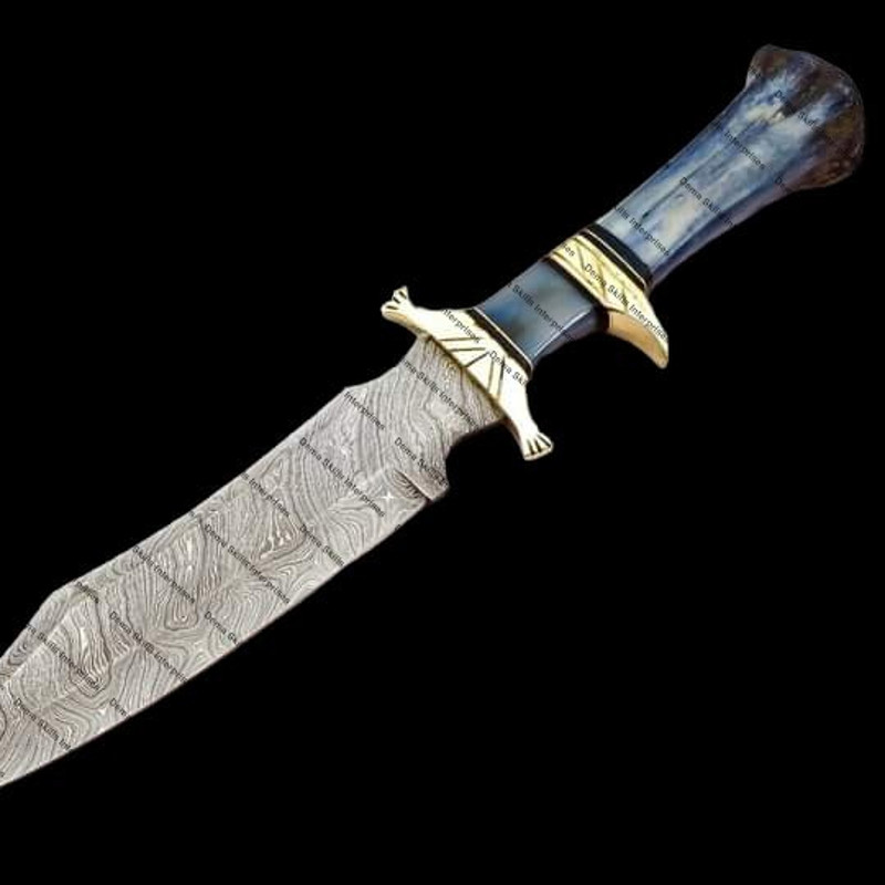 WhatsApp Image 2024-01-17 at 8.20.48 PM (1).jpeg