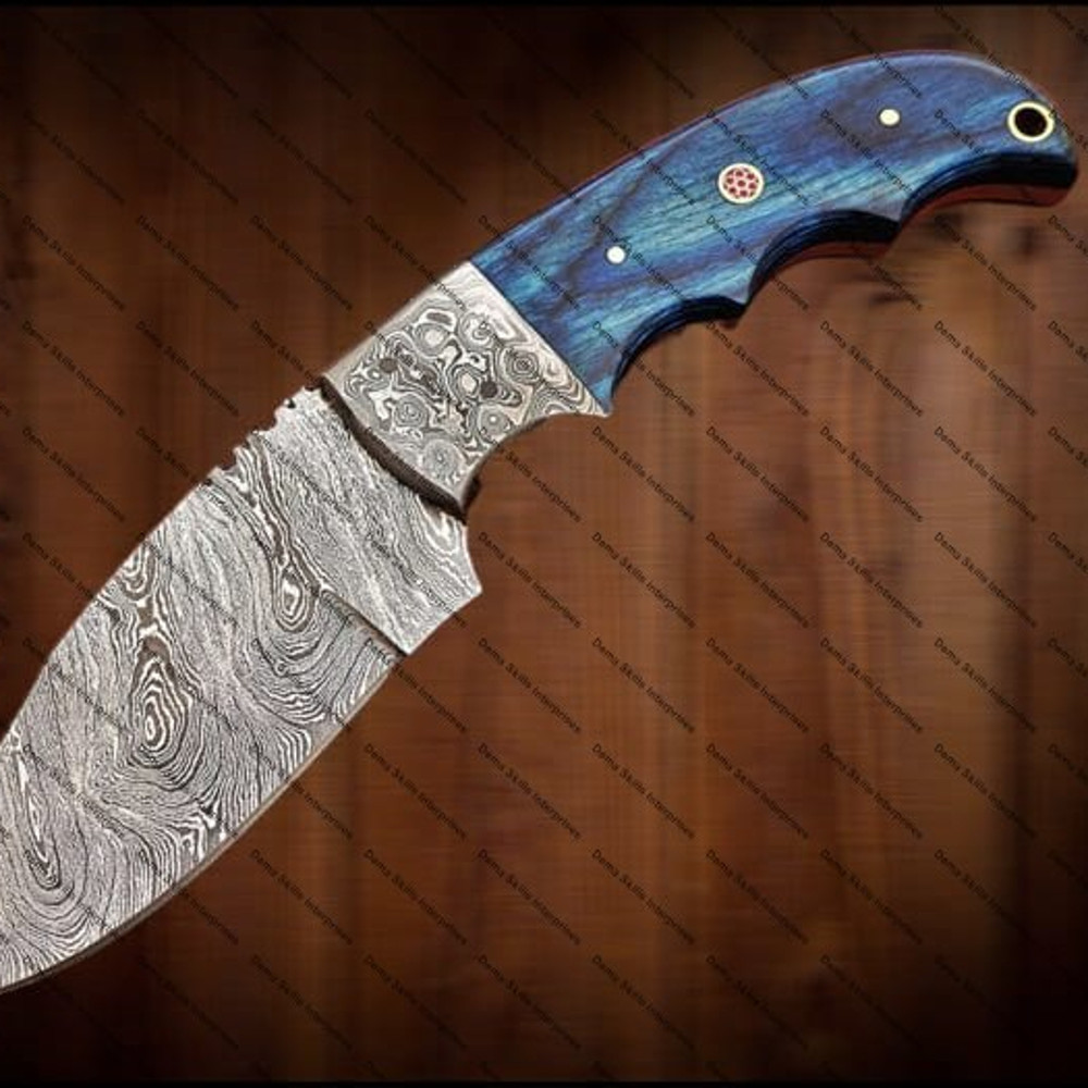 WhatsApp Image 2024-02-28 at 10.41.48 PM (1).jpeg