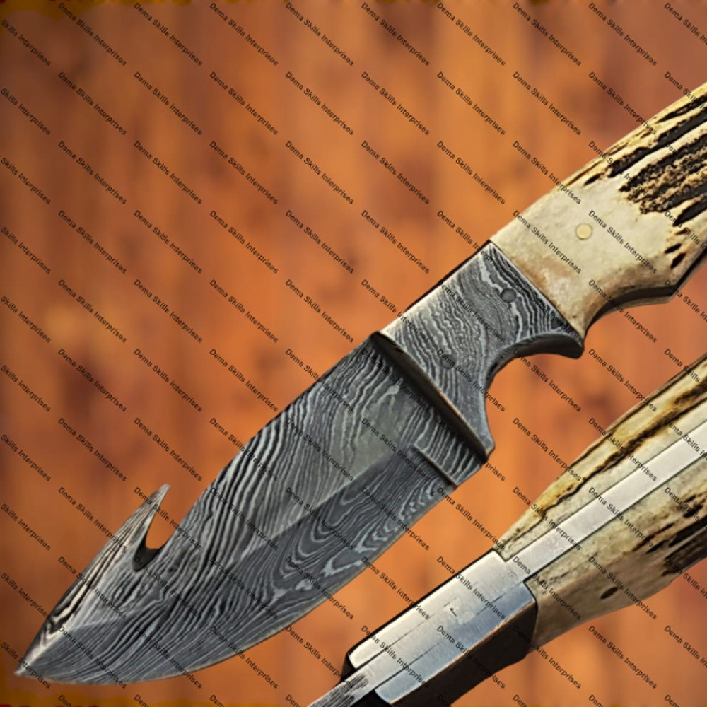 WhatsApp Image 2024-02-06 at 10.51.03 PM (1).jpeg