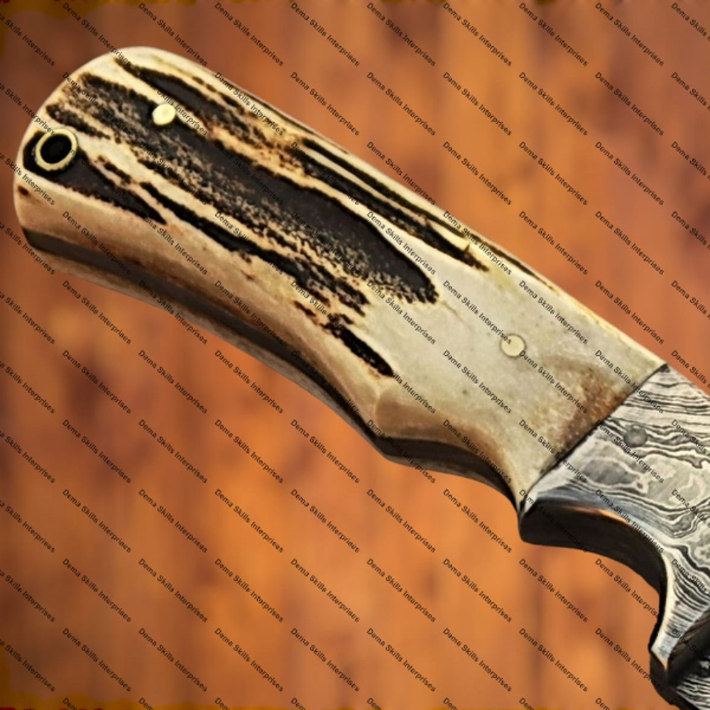 WhatsApp Image 2024-02-06 at 10.51.01 PM (1).jpeg