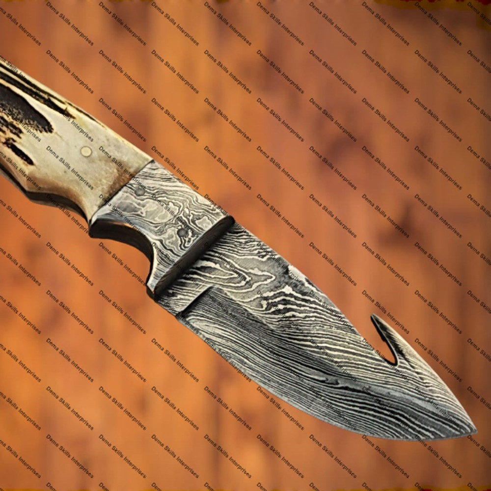 WhatsApp Image 2024-02-06 at 10.51.01 PM (2).jpeg