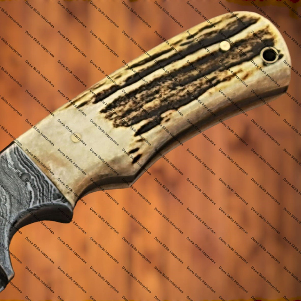 WhatsApp Image 2024-02-06 at 10.51.02 PM (1).jpeg