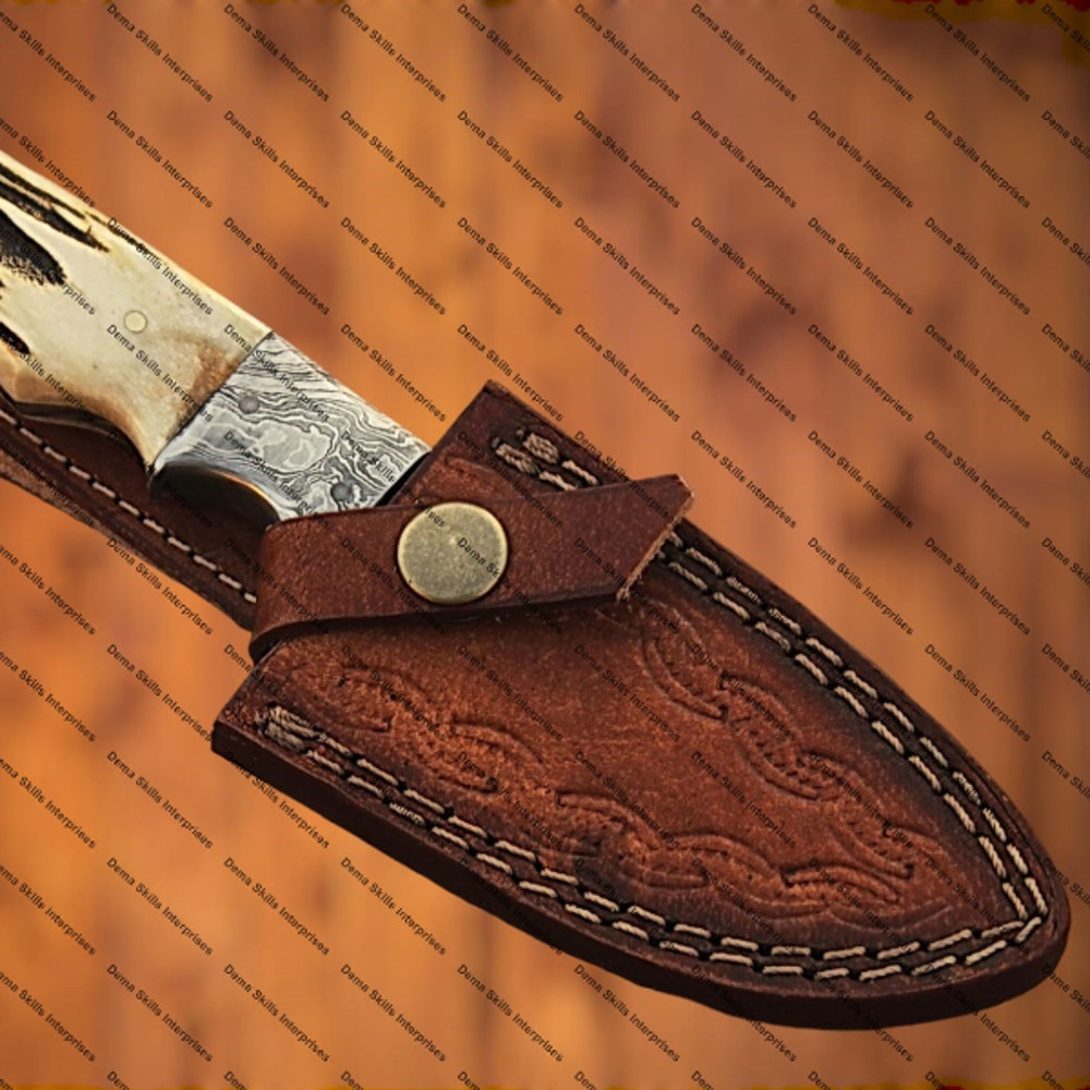 WhatsApp Image 2024-02-06 at 10.51.02 PM.jpeg