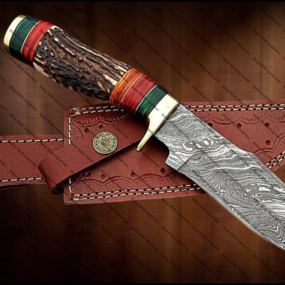 WhatsApp Image 2024-02-18 at 6.20.43 PM.jpeg